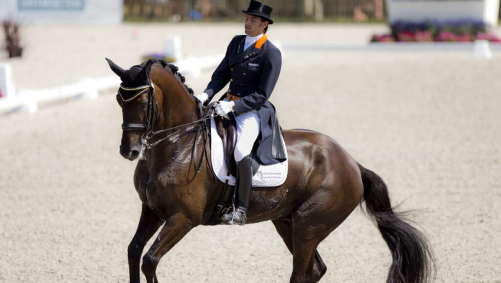 concour - hippisch - advocaat jee - advocaten